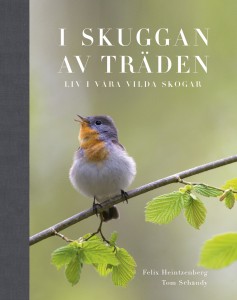 I SKUGGAN AV TRÄDEN – Liv i våra vilda skogar