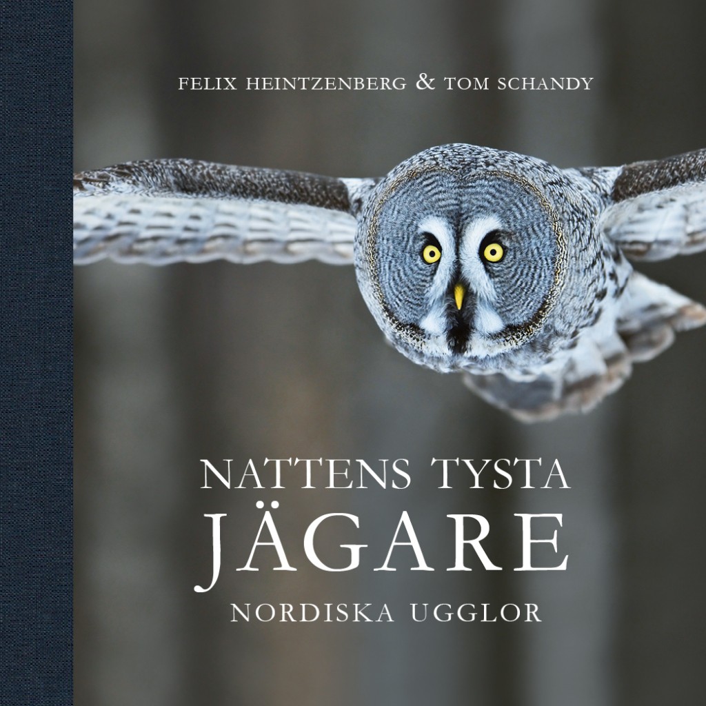 Nattens _Tysta_Jägare_omslag